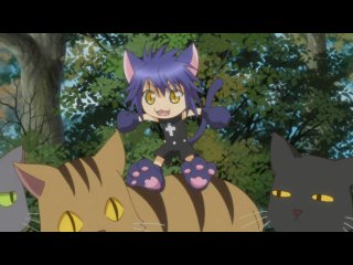 shugo chara season 1 episode 19